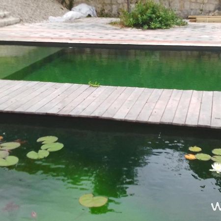 Gite Les Cabanes De Fallot Pour 15 Personnes - Piscine Naturelle L'isle-Bouzon Buitenkant foto