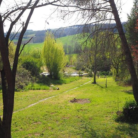 Gite Les Cabanes De Fallot Pour 15 Personnes - Piscine Naturelle L'isle-Bouzon Buitenkant foto
