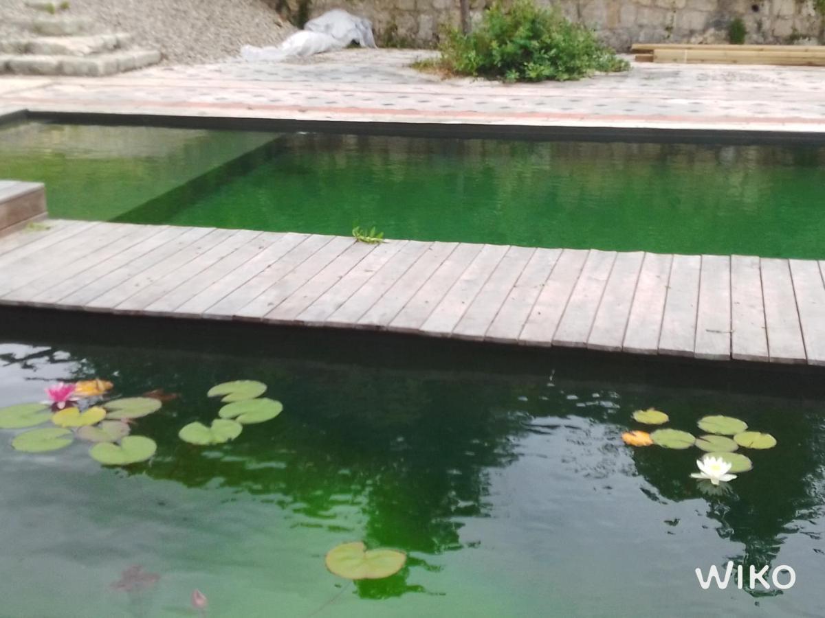 Gite Les Cabanes De Fallot Pour 15 Personnes - Piscine Naturelle L'isle-Bouzon Buitenkant foto