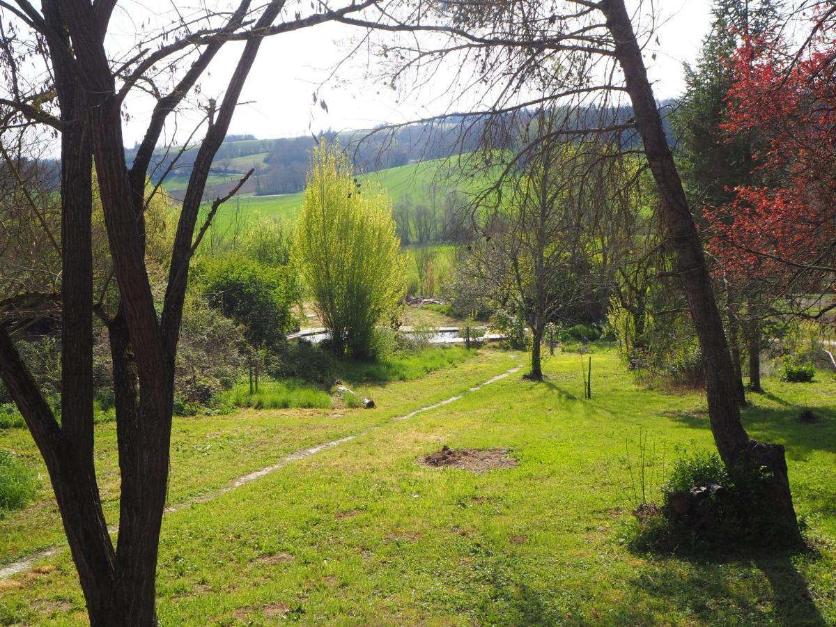 Gite Les Cabanes De Fallot Pour 15 Personnes - Piscine Naturelle L'isle-Bouzon Buitenkant foto