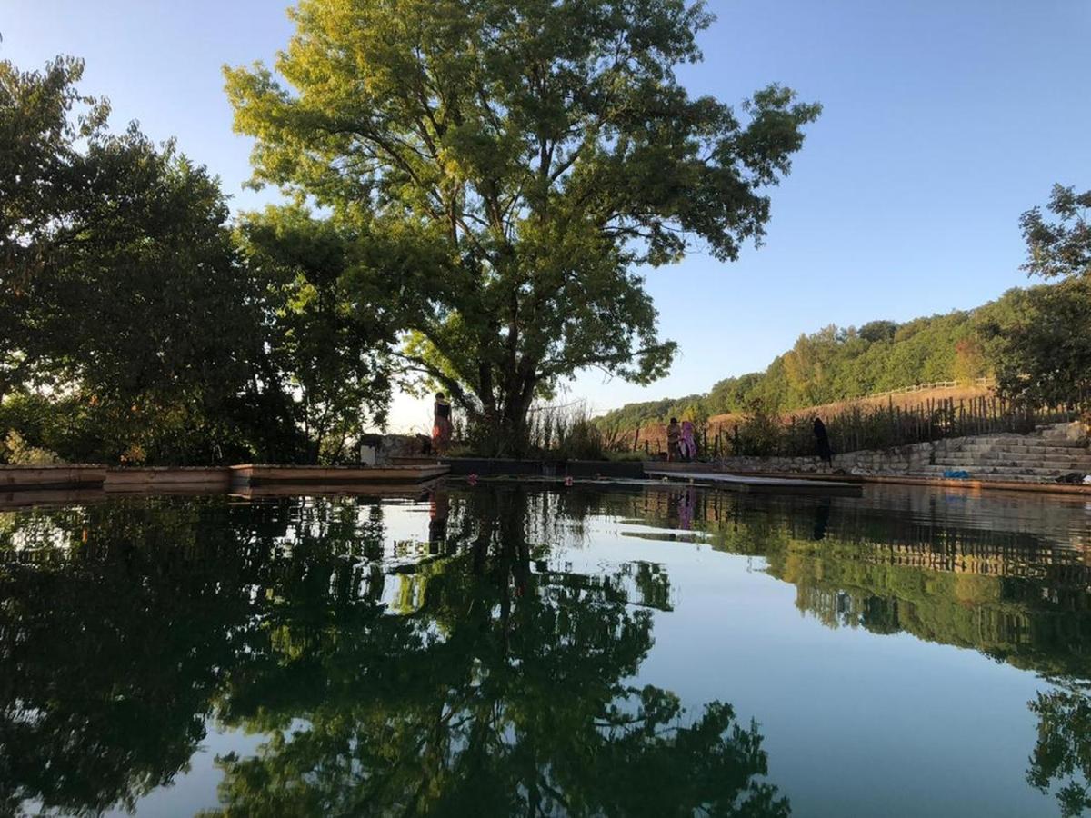 Gite Les Cabanes De Fallot Pour 15 Personnes - Piscine Naturelle L'isle-Bouzon Buitenkant foto